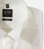 Γαμπριάτικο Πουκάμισο